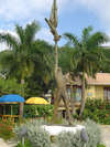 Doctors Cave Beach Hotel 
